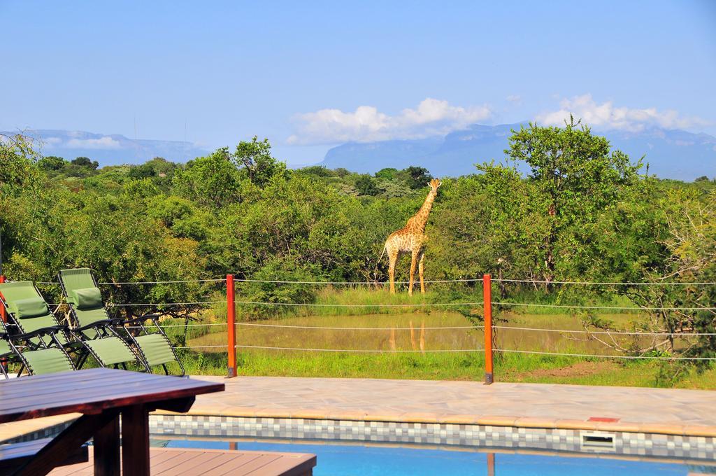 Cheetah Paw Eco Lodge Guernsey Nature Reserve Extérieur photo