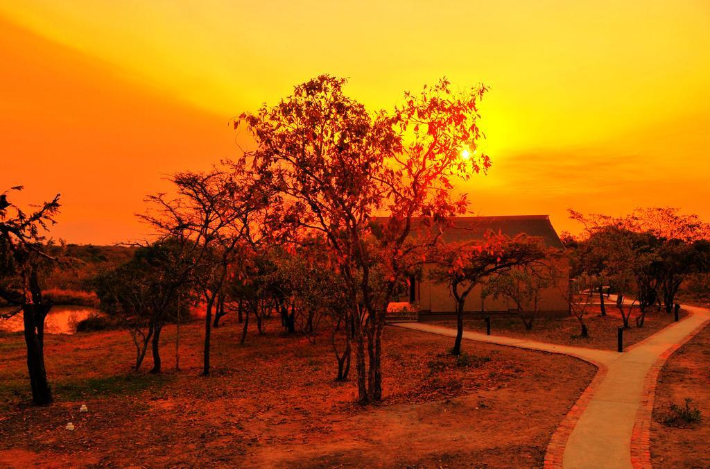 Cheetah Paw Eco Lodge Guernsey Nature Reserve Extérieur photo