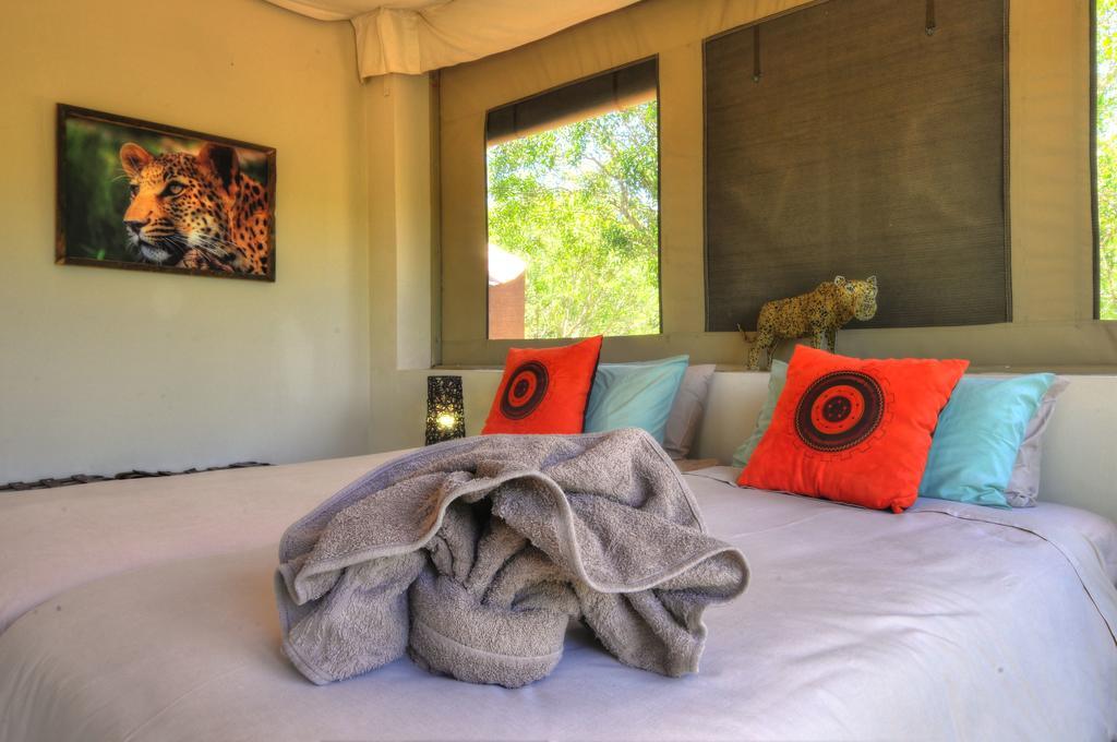 Cheetah Paw Eco Lodge Guernsey Nature Reserve Extérieur photo